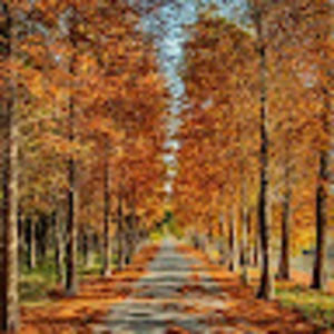 Meet your Posher, Nora